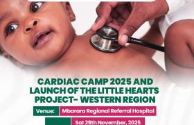 Little Hearts Project – Western Region